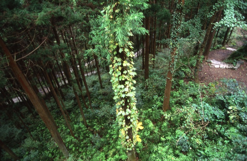 両神山