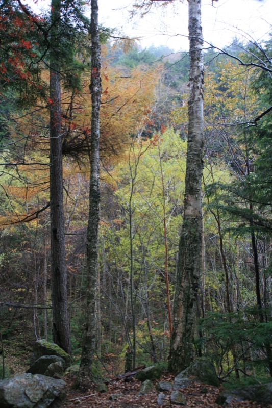 瑞牆山