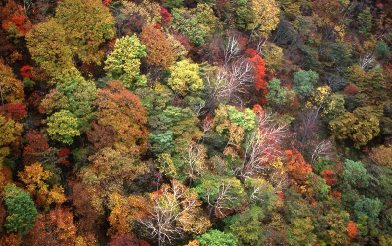 吾妻山