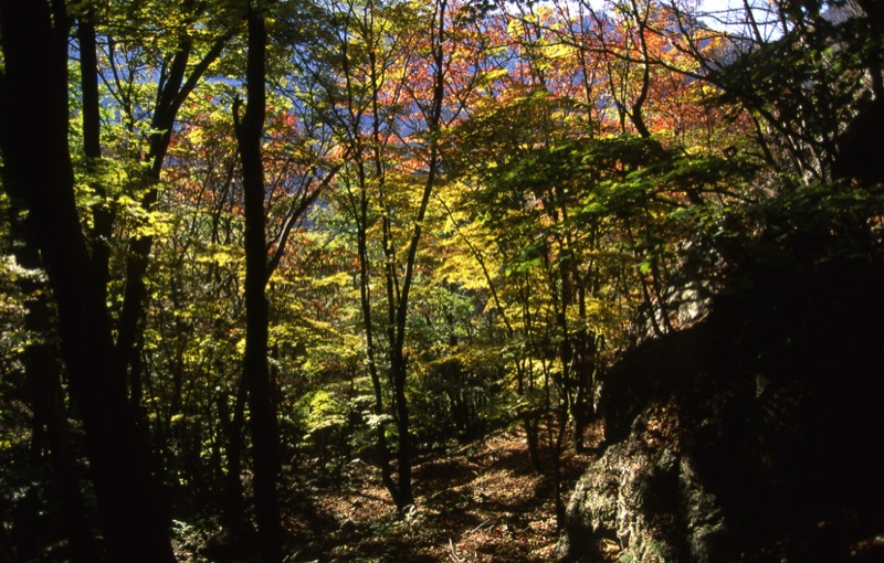 両神山