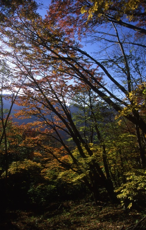 両神山