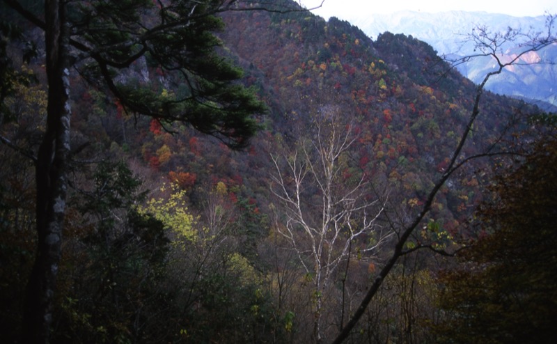 両神山