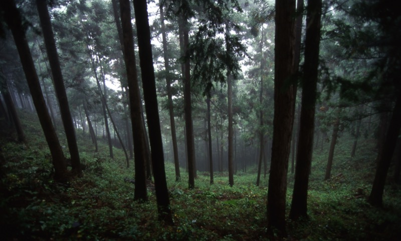 南高尾山稜