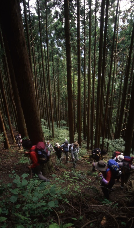 秩父・御岳山