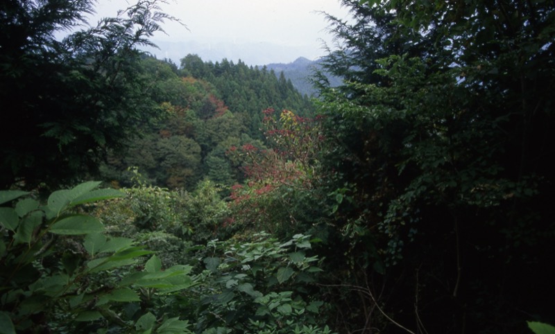 秩父・御岳山