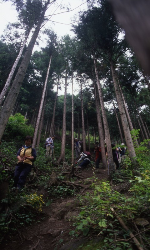 秩父・御岳山