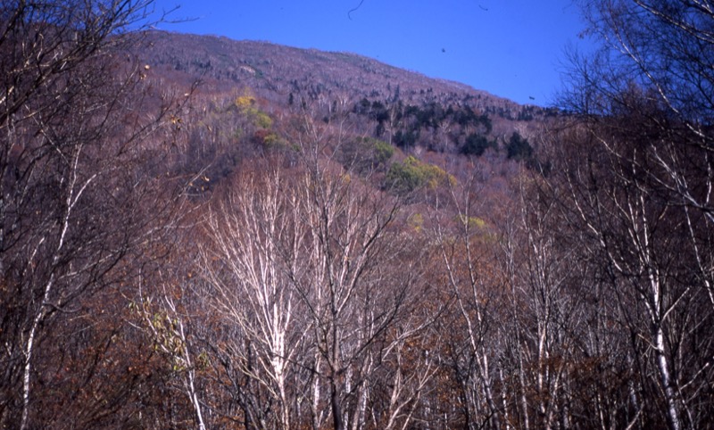 妙高山