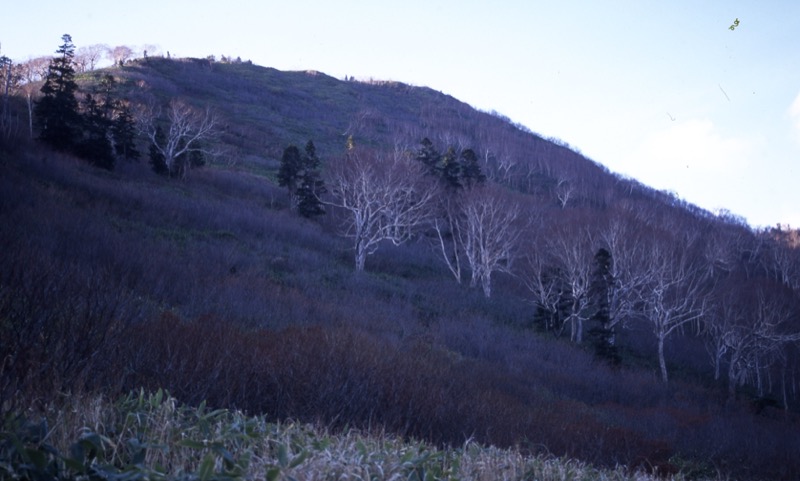 妙高山