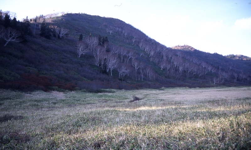 妙高山