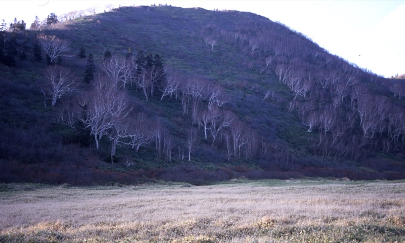 妙高山