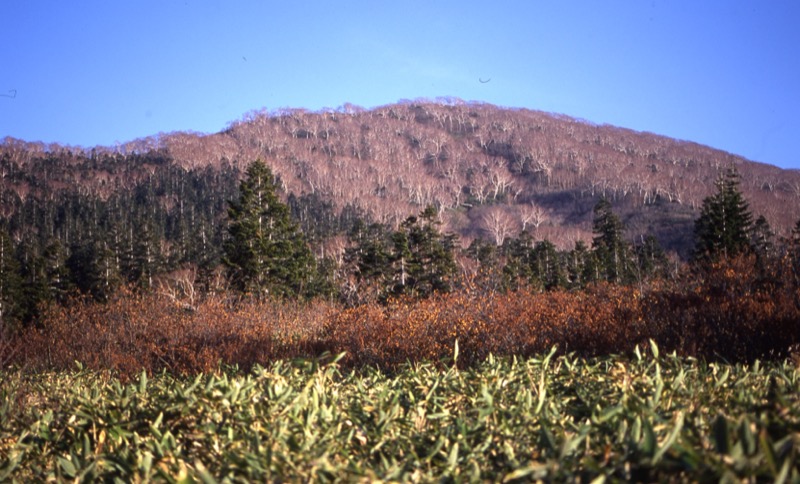 妙高山