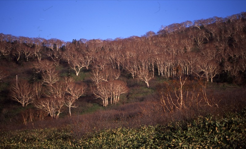 妙高山