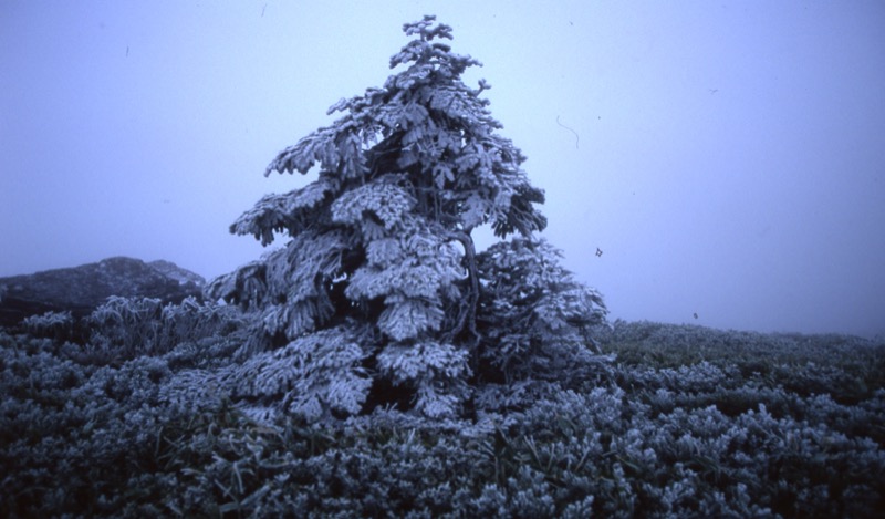 吾妻山