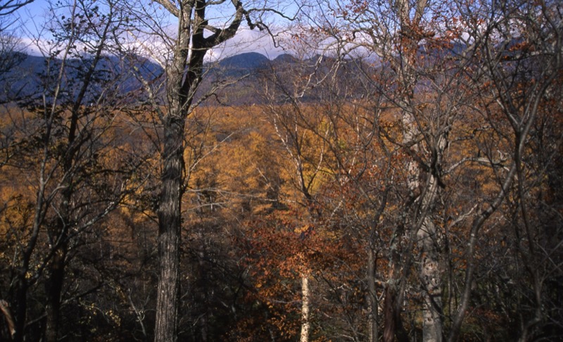 高山