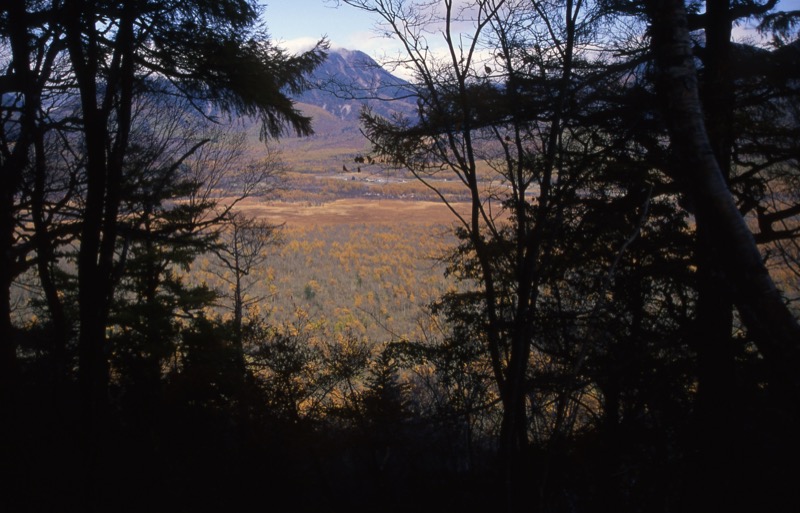 高山