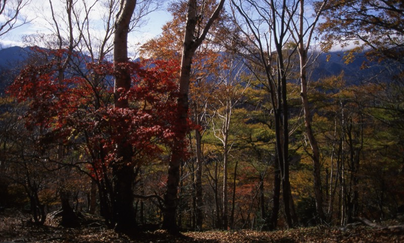 高山