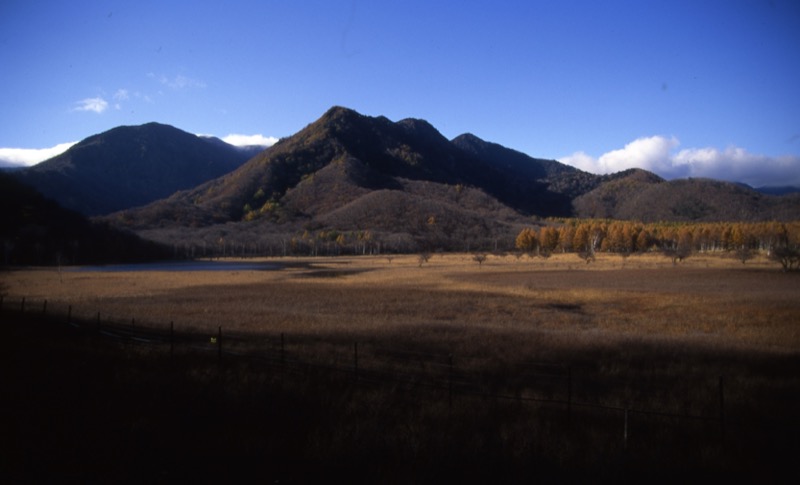 高山