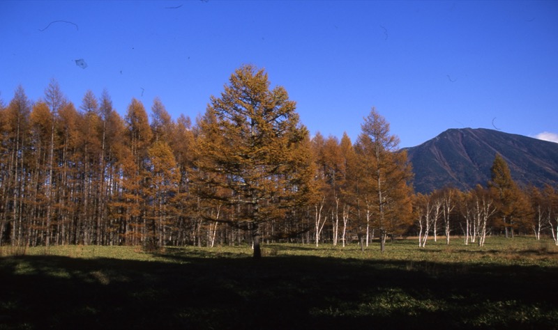 高山