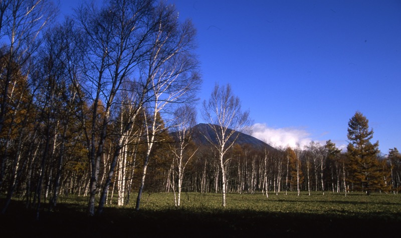 高山