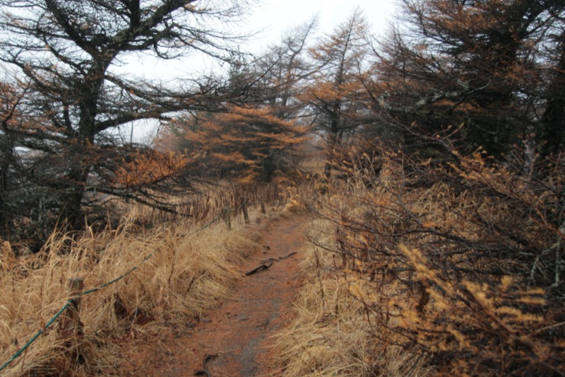 水ノ塔山