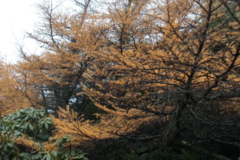 水ノ塔山