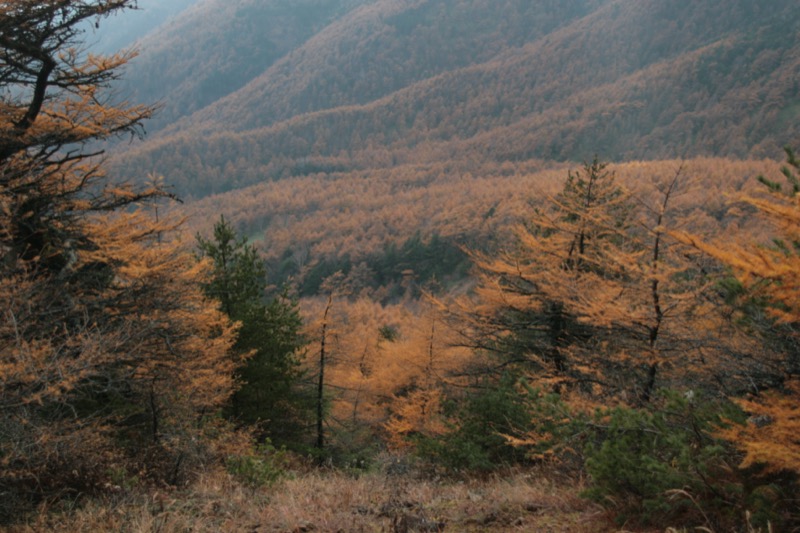 水ノ塔山