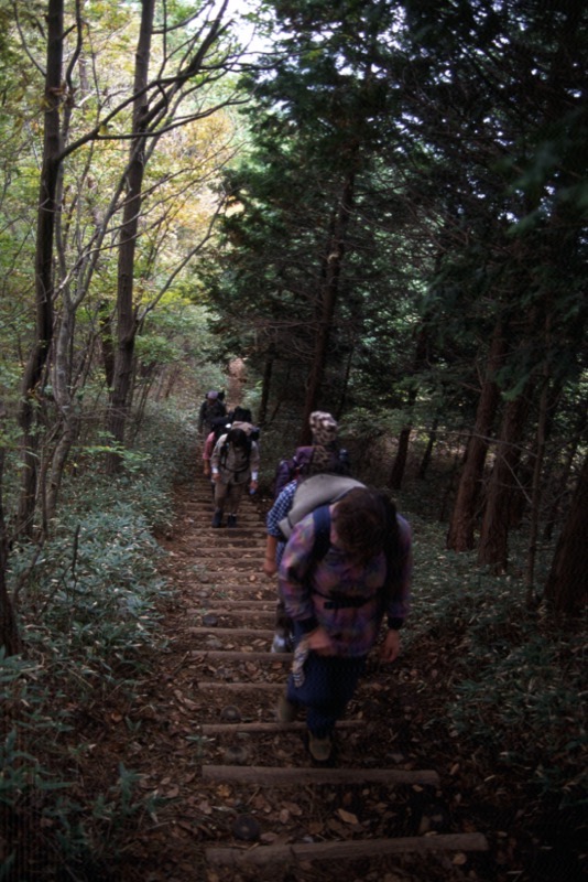 足和田山