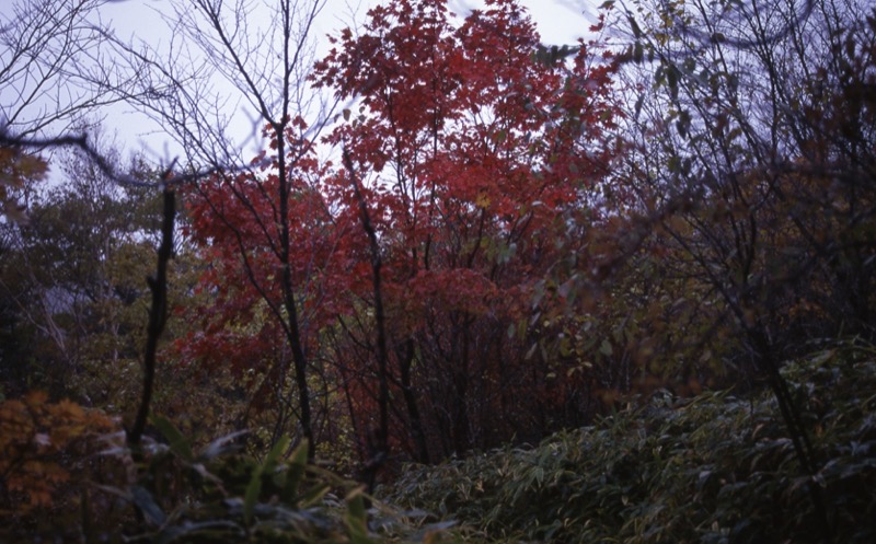乾徳山