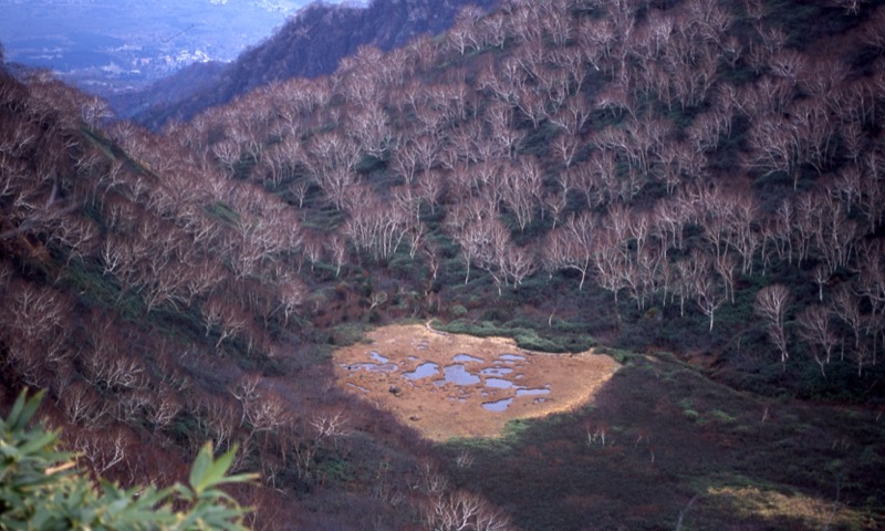 妙高山