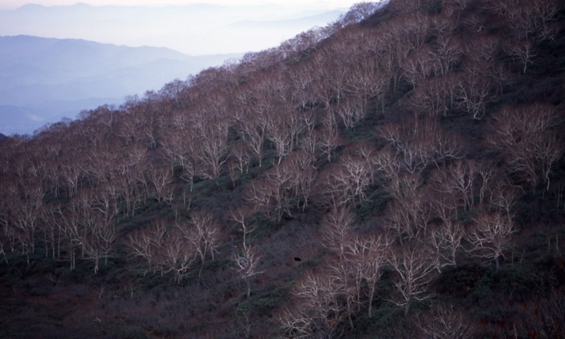 妙高山