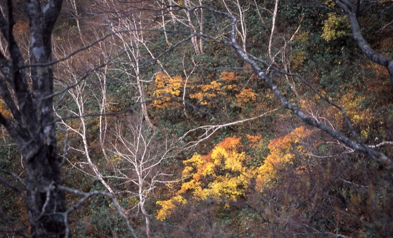 妙高山