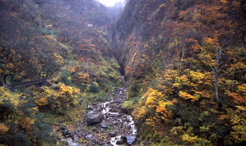 妙高山