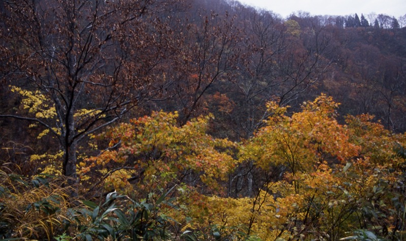 妙高山