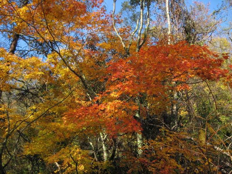 磐梯山