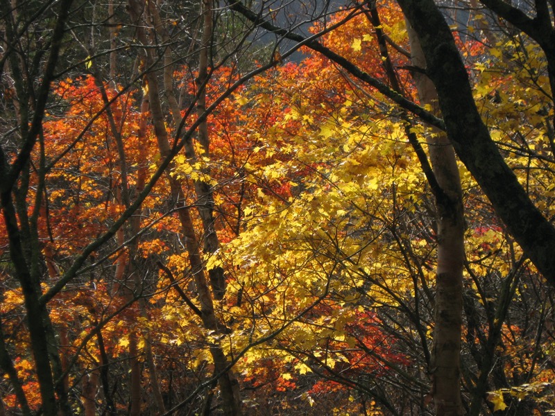 磐梯山