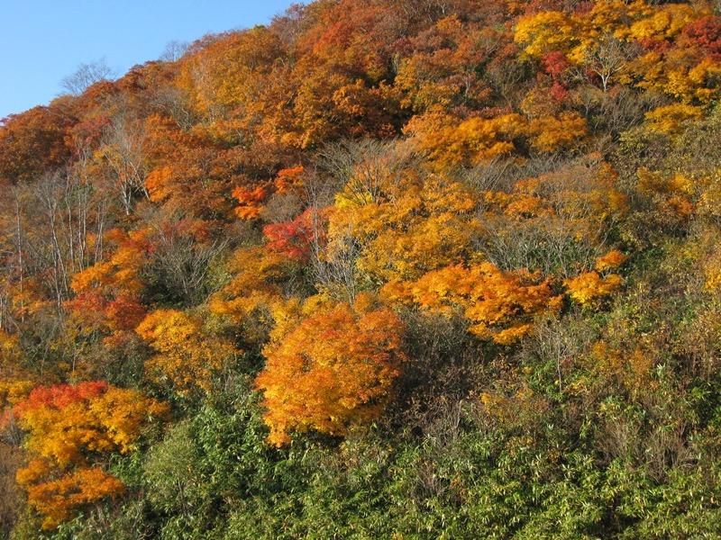 磐梯山