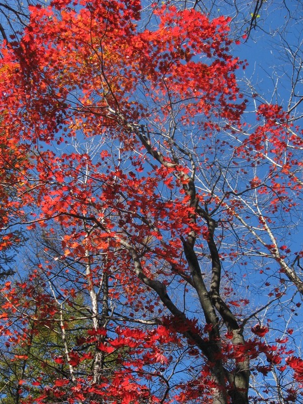 浅間隠山