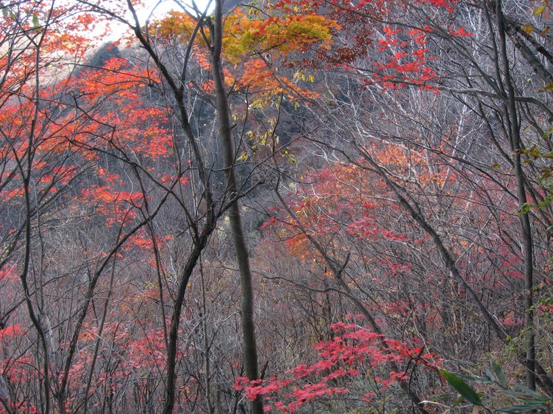 浅間隠山