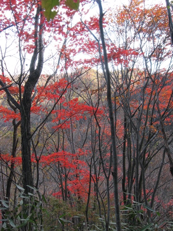 浅間隠山