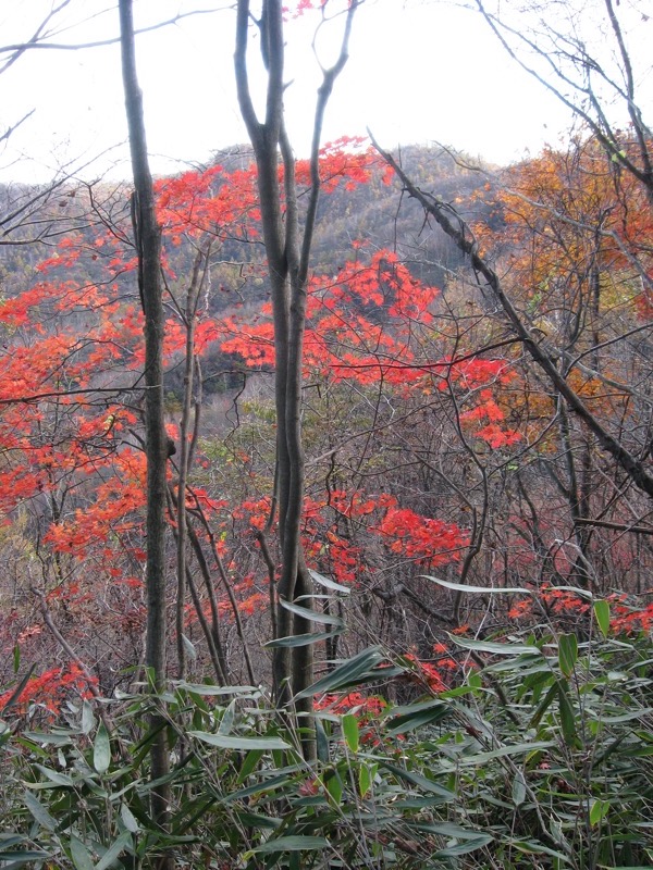 浅間隠山