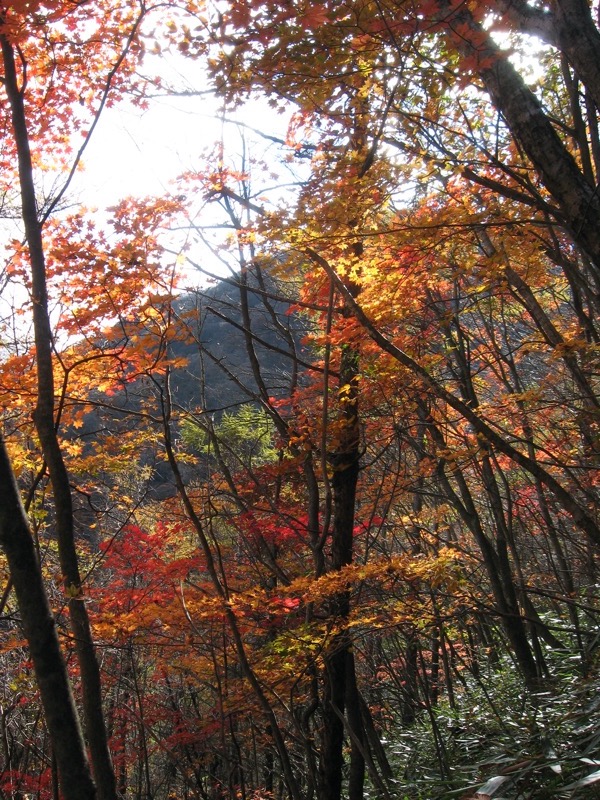 浅間隠山