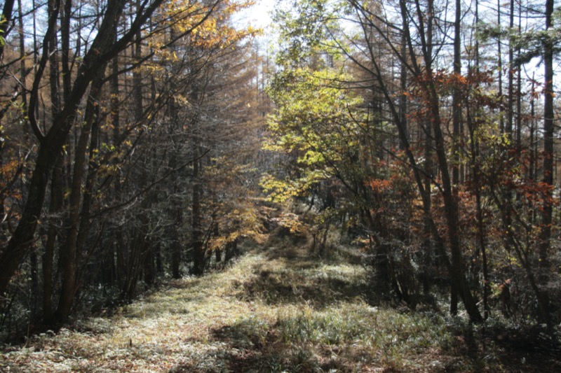 小楢山