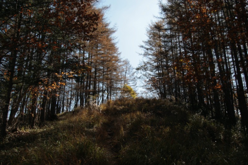 小楢山