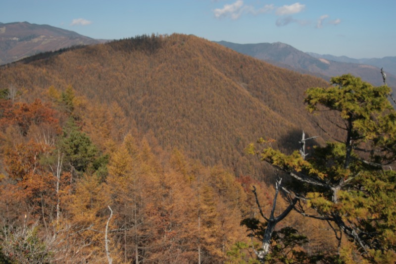 小楢山