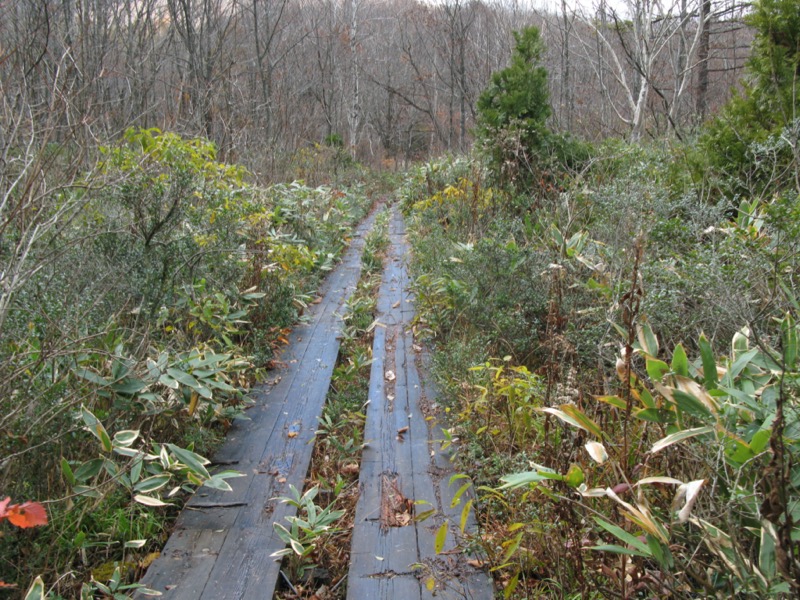 玉原高原