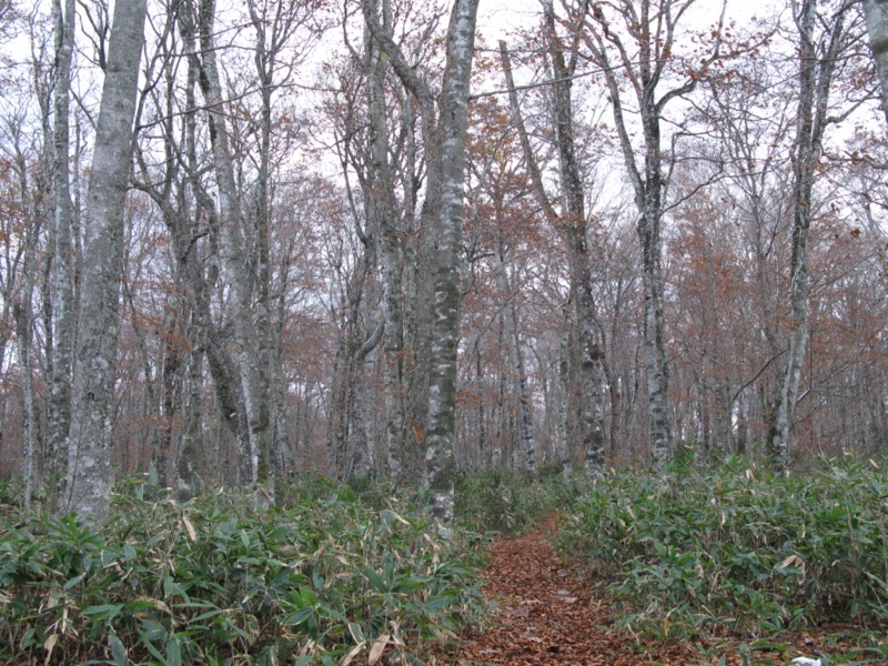 玉原高原