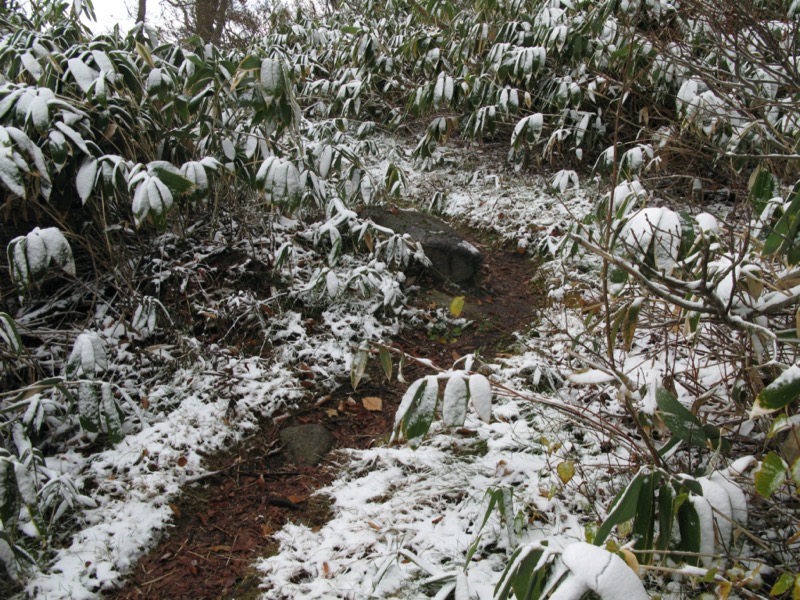 玉原高原