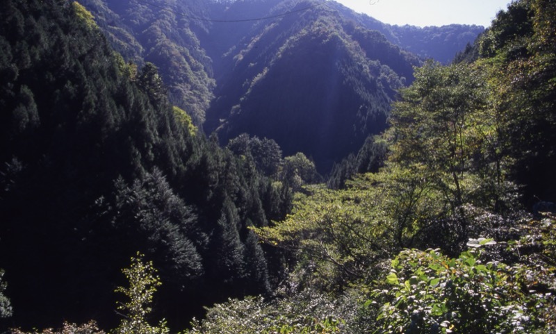 川苔山