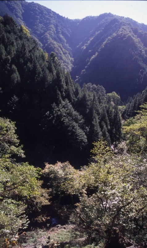 川苔山