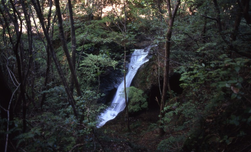 川苔山